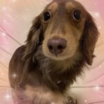 ゆきなです❣️