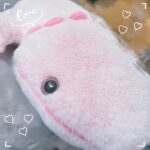 あまねです‪՞ ⸝⸝> ̫ <⸝⸝