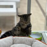 こん出勤してます〜?