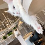 みん退勤しましたっ?