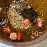 こんにちは‼️ちーです♡