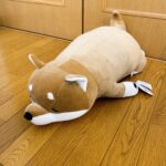 おりん退勤しました〜?