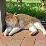 ふゆ退勤しましたっ?