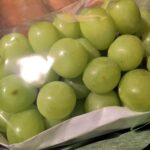 おりん出勤しました?