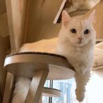 なき退勤しました?