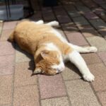 こんにちは?じゅりです♪