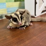 ゆきな退勤しました♪