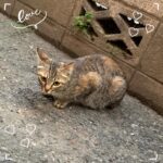 すい出勤しました?