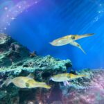 えなん出勤しました✌️