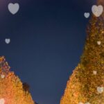 こんにちはかろんです?✨️