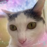 いるか退勤しました❣️