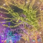 こんにちは❣️あまねです?