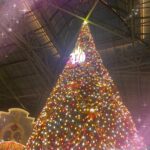 こんばんは〜ろんです⭐️