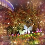 かのんです❣️