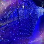 せいらだよ〜✨