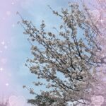 到着してます( ˶’ᵕ’˶)さなです！