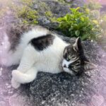 れん池袋にいます?