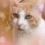 こんにちは、まみやです✨