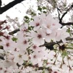 こんにちわ！てぃーです?♡