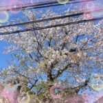 れん到着しました?