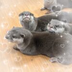 かのんです❣️