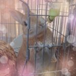 こんにちは！にるです?♡