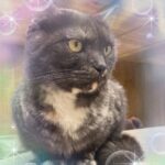 じゅんだよー✨