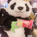 とーかです！՞‪⸝⸝> ̫ <⸝⸝՞‬