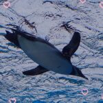 はじめまして！ぐみです✨