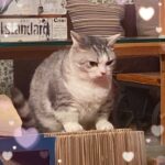 まみやです❣️