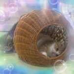 おはようです！てぃーです?