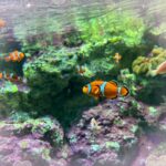 ゆうです?‍♀️