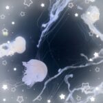 まゆかです❣️