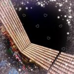 しゃるです✨✨