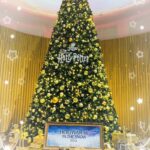 ゆうです?‍♀️