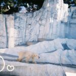 出勤してます、ぱもです⭐️