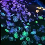 こんにちわ、てぃーです??‪‪❕