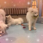 ふぁいです❣️