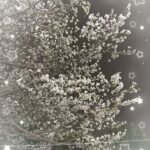 きりです(⑉• •⑉)❤︎