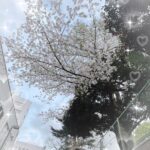 てぃーです?⸒⸒☀️