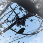 しずくでーす！?