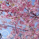 こんにちは！えなです?