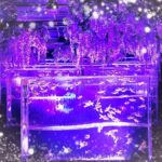 あんりです❣️