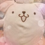 こんばんは！ありかです?