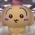 こんにちわ、てぃーです?♡