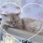 はね池袋つきました?