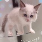 しお到着しました！！✨