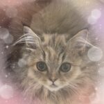 しお到着しました❕