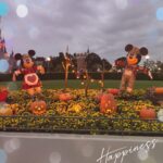 こんにちわ、てぃーです?