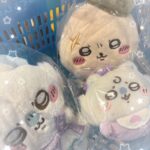 しえるです！♡